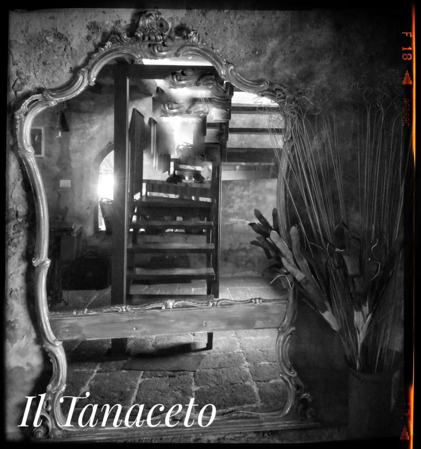 Il Tanaceto Hotel Castiglione De Sicilia Buitenkant foto